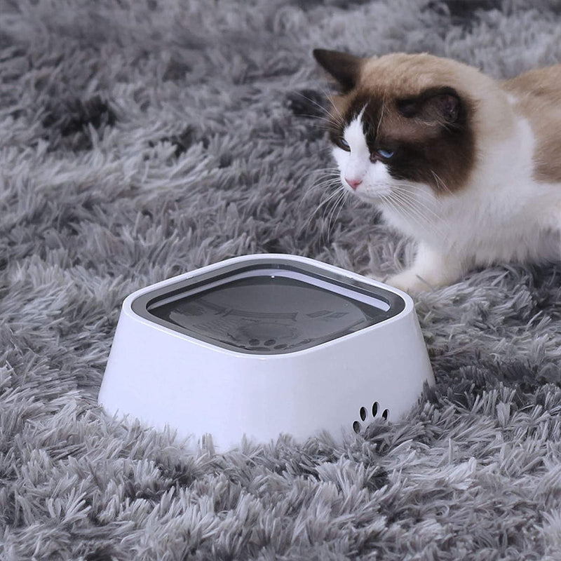 Pet Feeding & Water Bowls