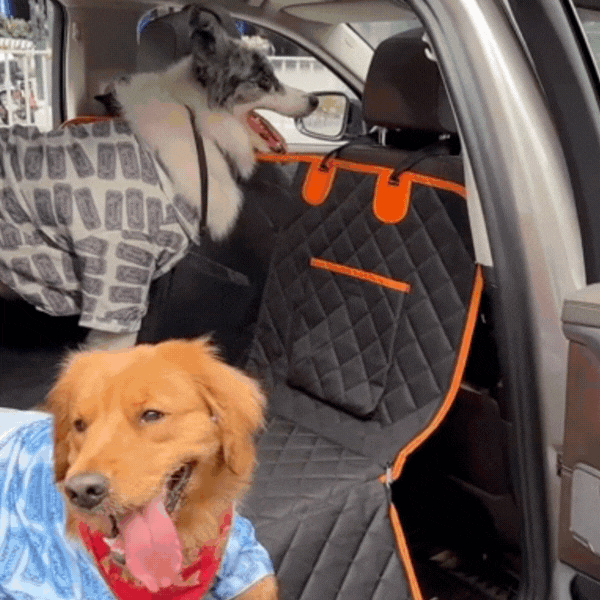 Hard Bottom Dog Car Seat Extender Cover
