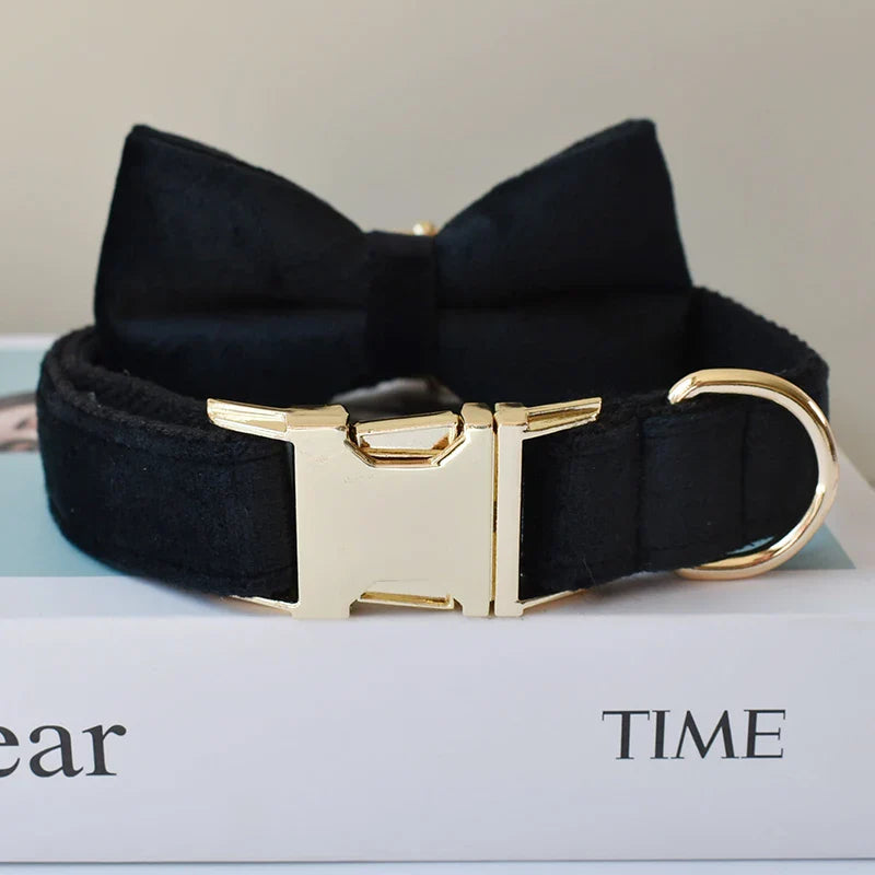 Unique Designer Soft Dog Collar