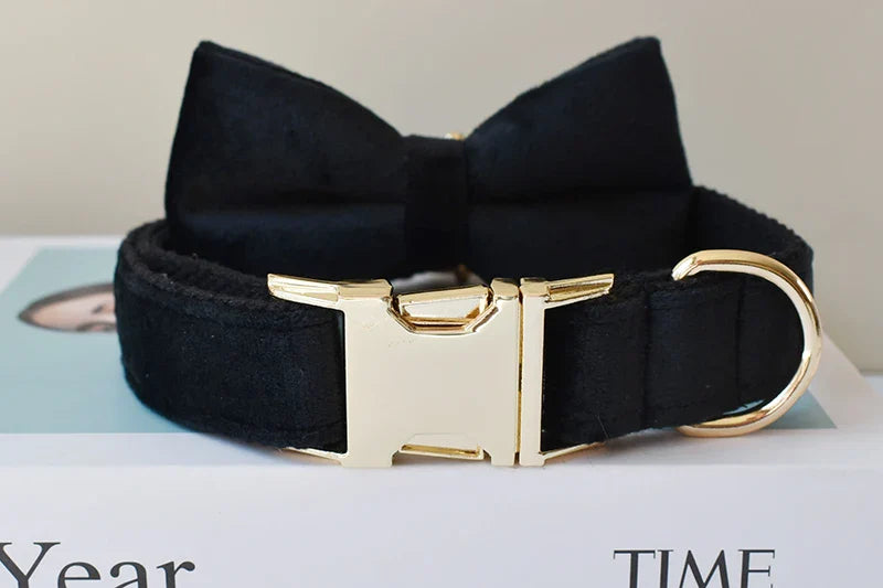 Unique Designer Soft Dog Collar