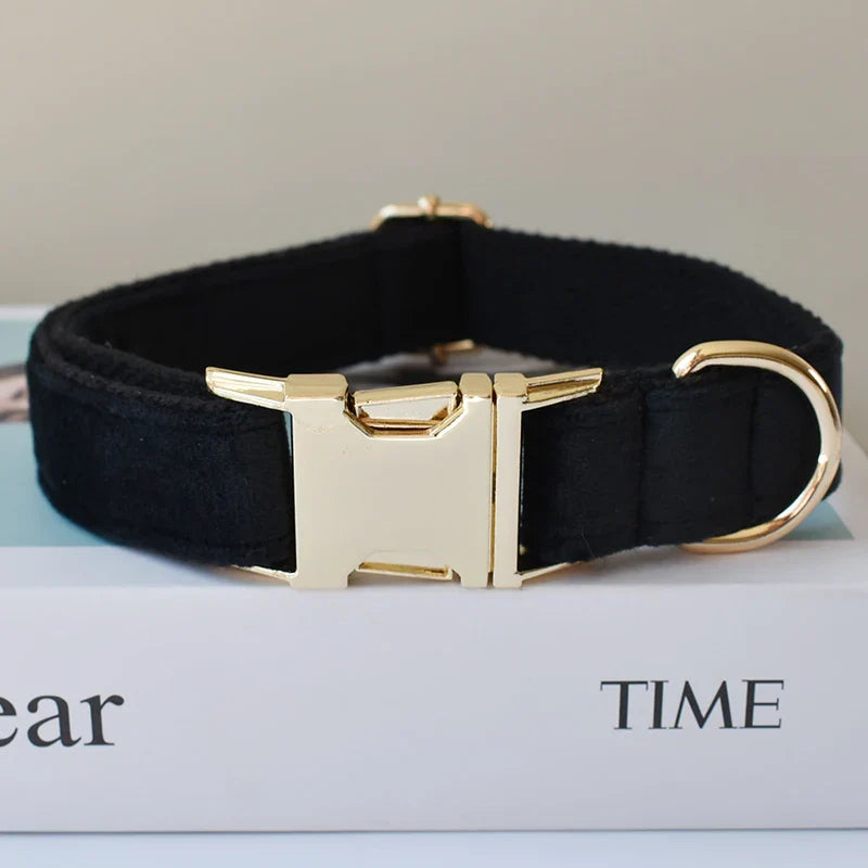 Unique Designer Soft Dog Collar