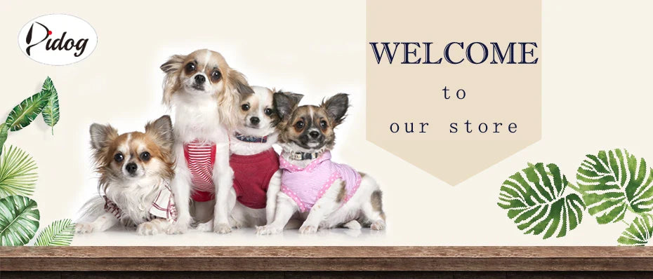 Dog Harness