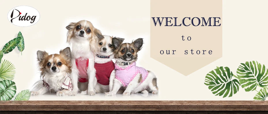 Cat & Small Dog Harness with Leash