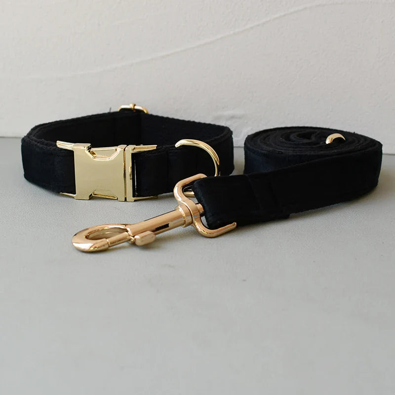Unique Designer Soft Dog Collar