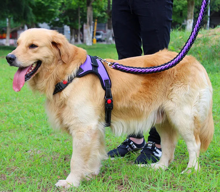 High Quality Dog Collar for Large Breeds