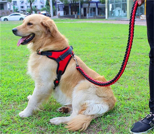 High Quality Dog Collar for Large Breeds