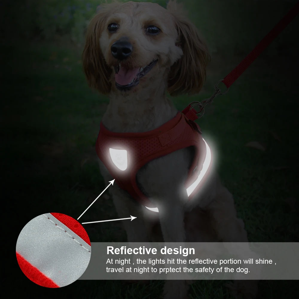 Cat & Small Dog Harness with Leash