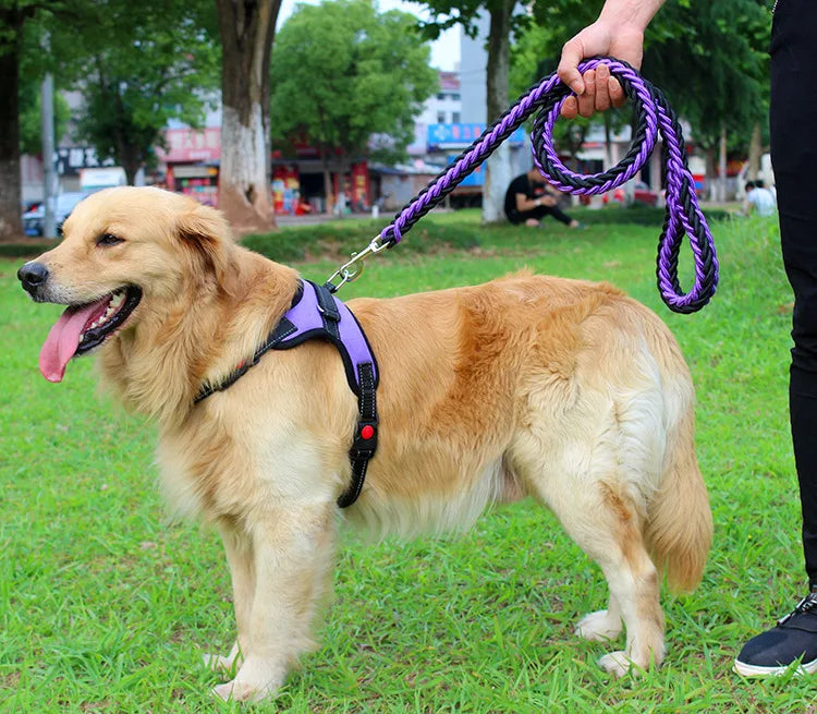 High Quality Dog Collar for Large Breeds