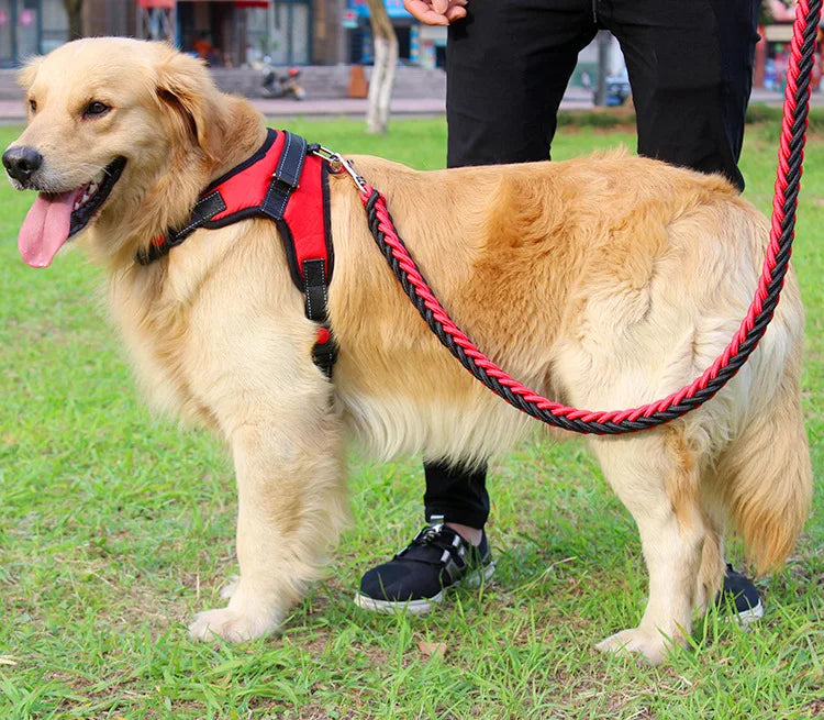 High Quality Dog Collar for Large Breeds
