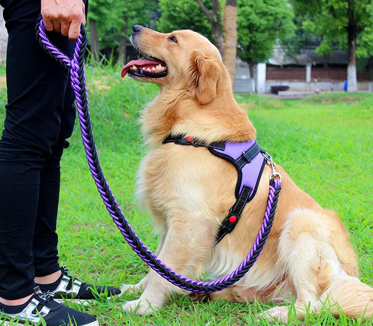 High Quality Dog Collar for Large Breeds