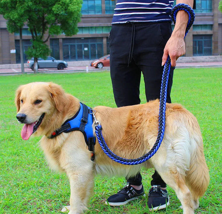 High Quality Dog Collar for Large Breeds