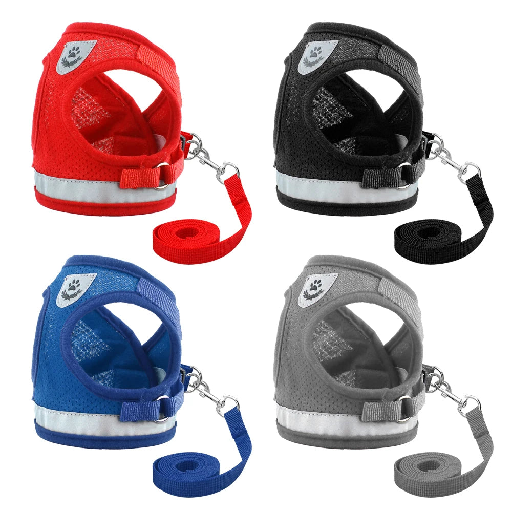 Cat & Small Dog Harness with Leash