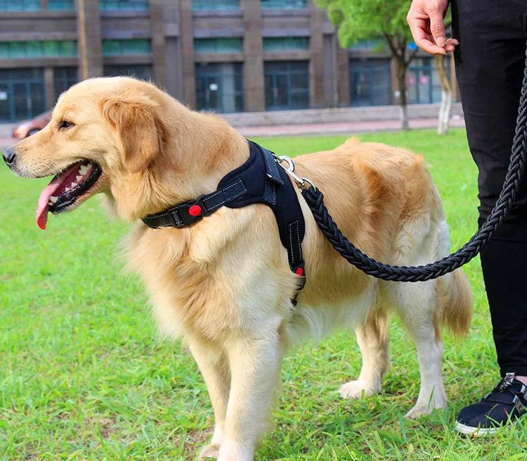 High Quality Dog Collar for Large Breeds