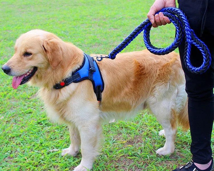 High Quality Dog Collar for Large Breeds