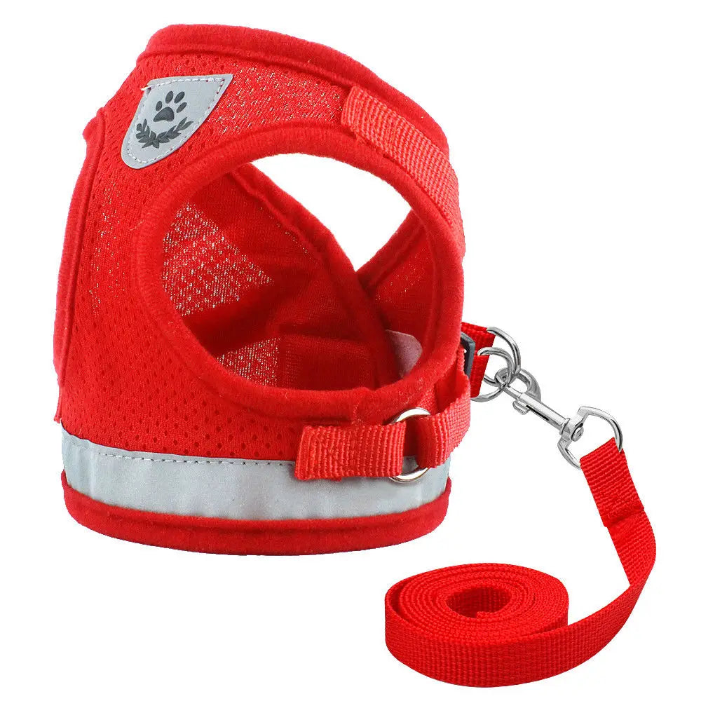 Cat & Small Dog Harness with Leash