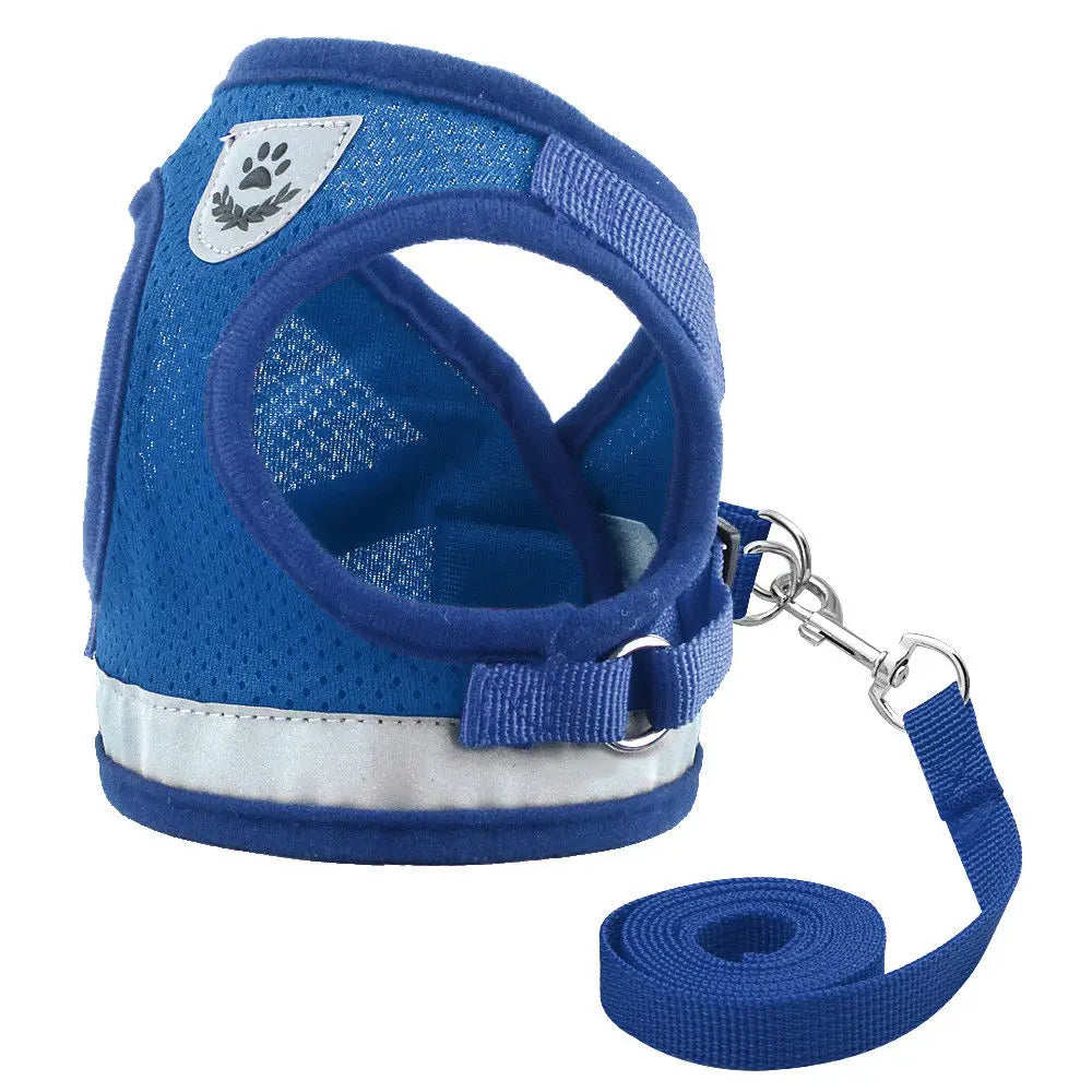 Cat & Small Dog Harness with Leash