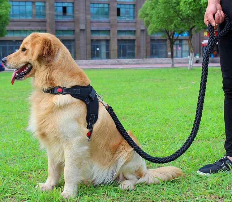 High Quality Dog Collar for Large Breeds