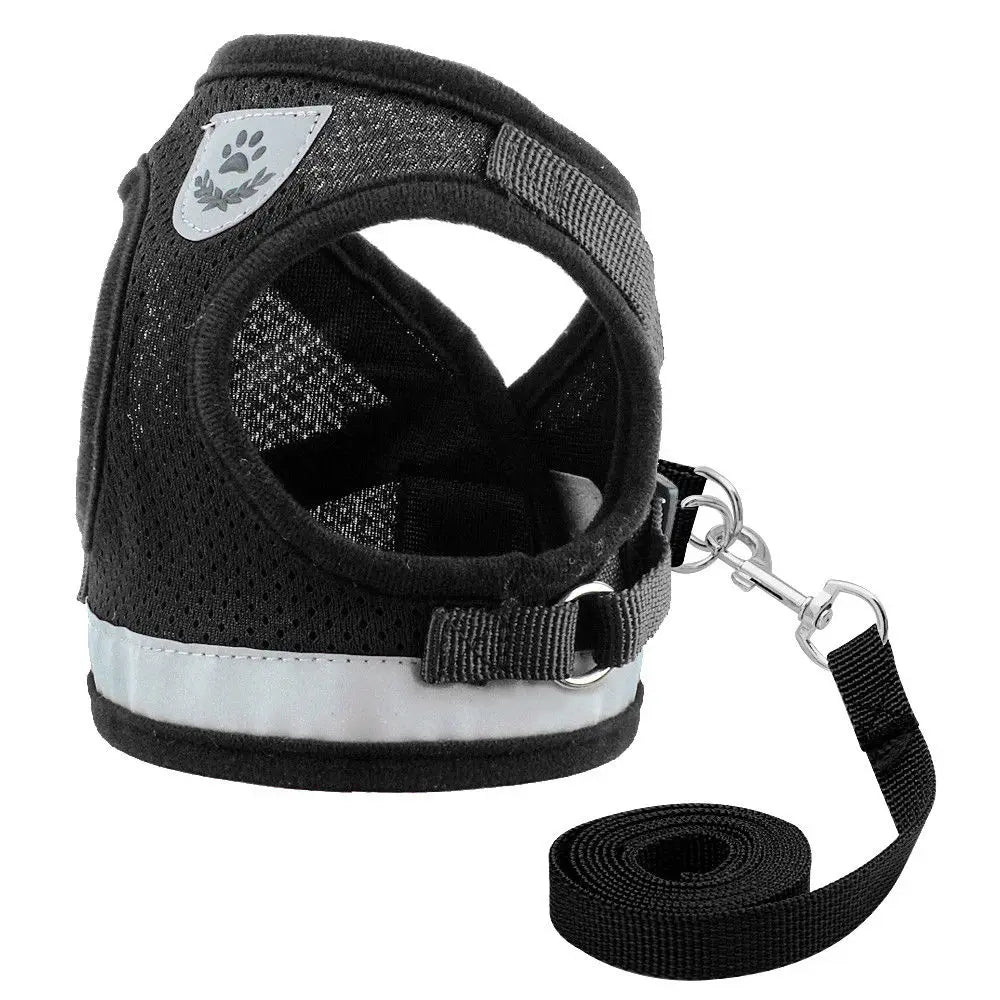 Cat & Small Dog Harness with Leash