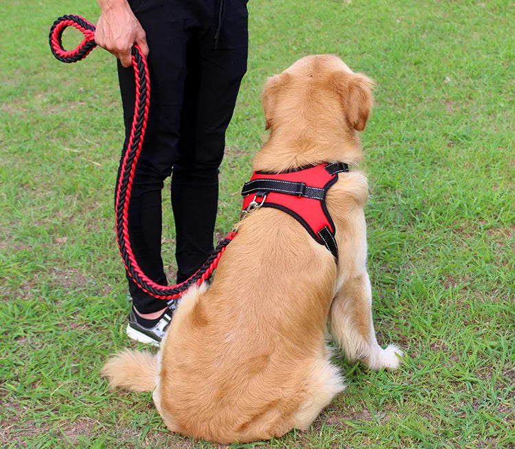 High Quality Dog Collar for Large Breeds