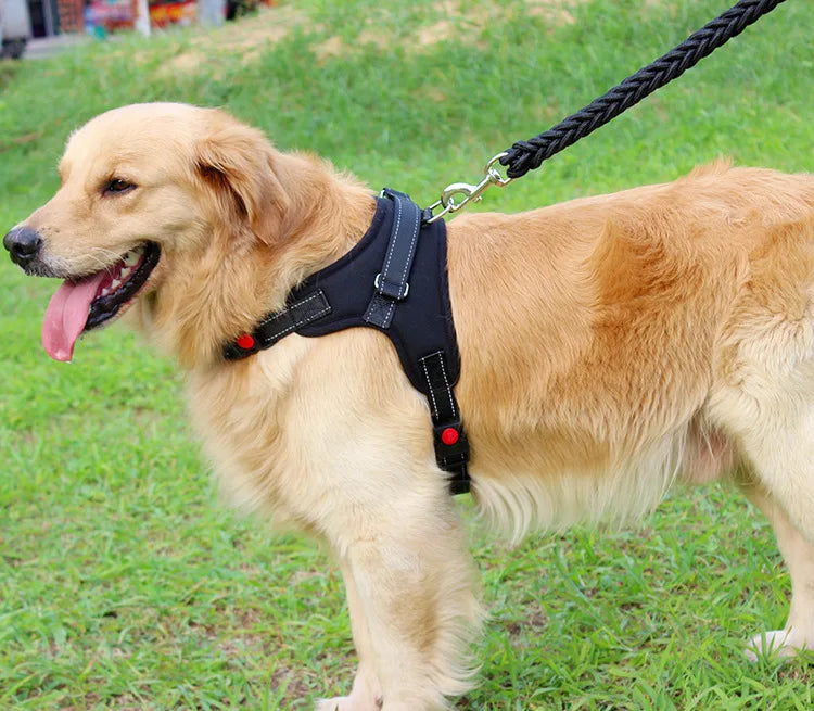 High Quality Dog Collar for Large Breeds