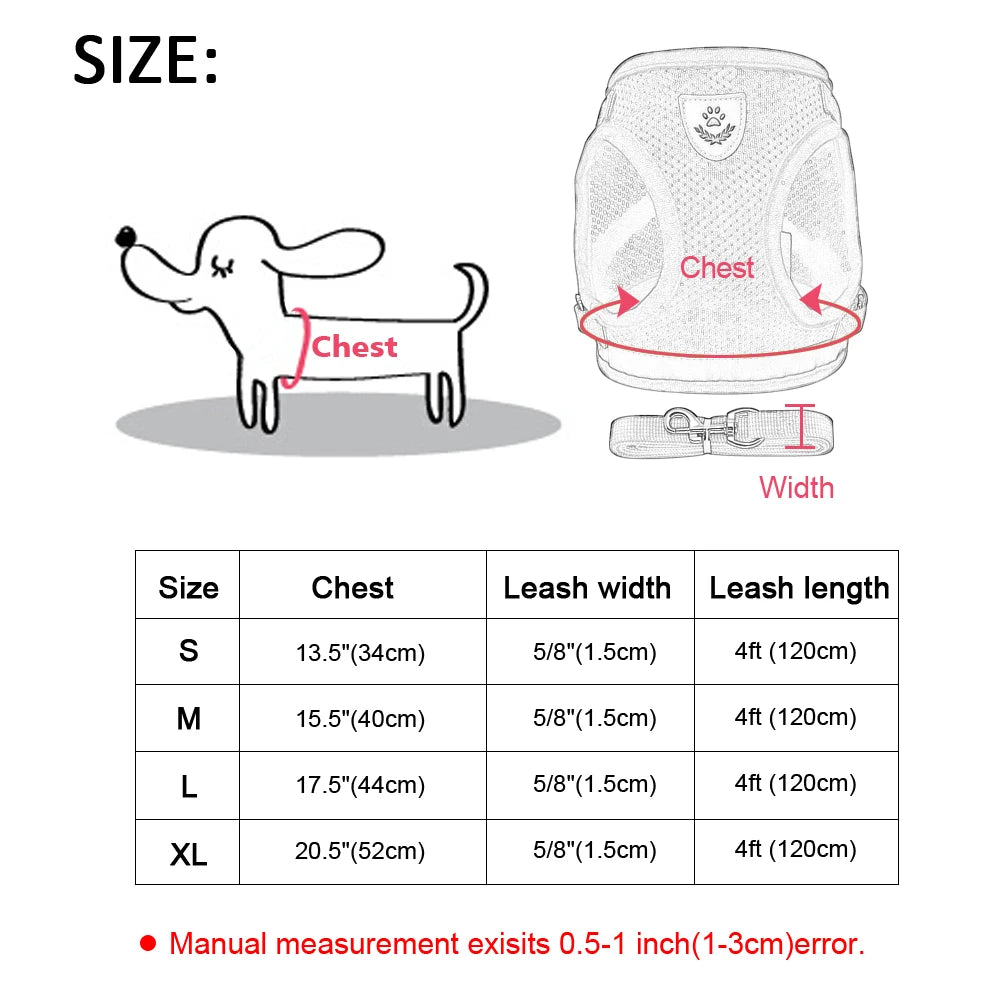 Cat & Small Dog Harness with Leash