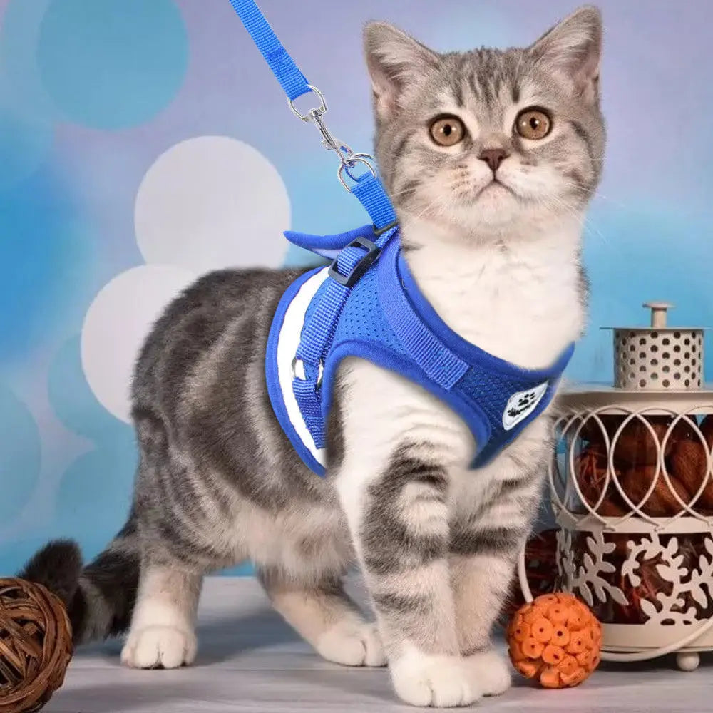 Cat & Small Dog Harness with Leash