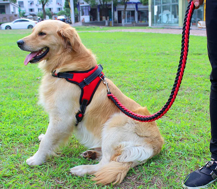 High Quality Dog Collar for Large Breeds