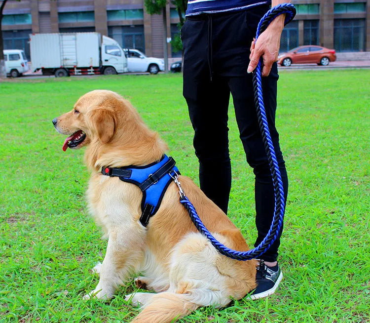 High Quality Dog Collar for Large Breeds