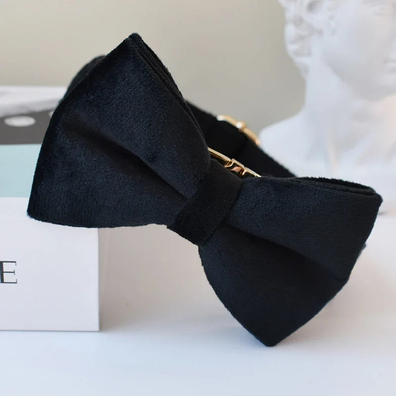 Unique Designer Soft Dog Collar
