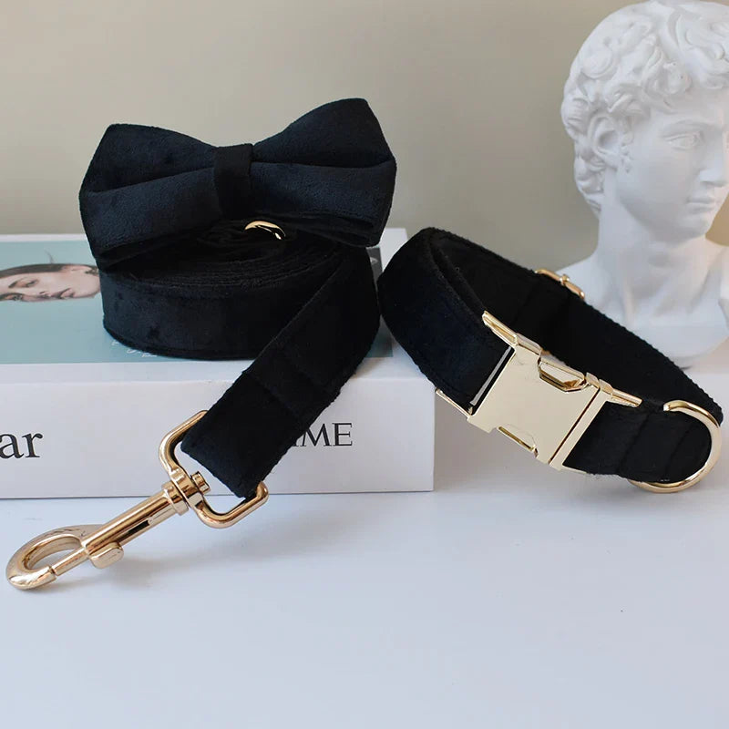 Unique Designer Soft Dog Collar
