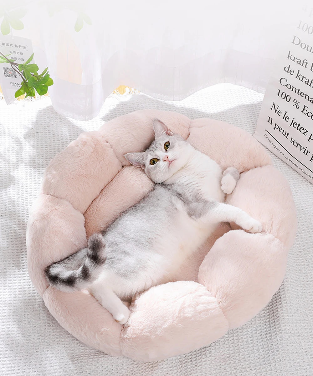 CozyBloom Pet Bed for Cats and Small Dogs