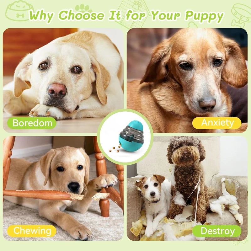 🐾 Pet IQ Treat Dispenser Toy