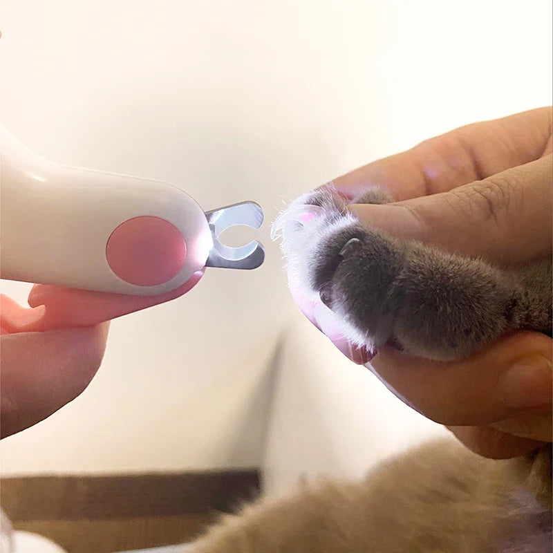 LED Light Cat