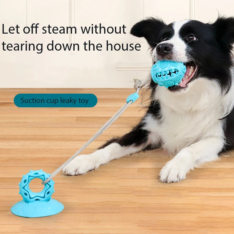 CozyPaws Suction Tug Toy with Chew Ball