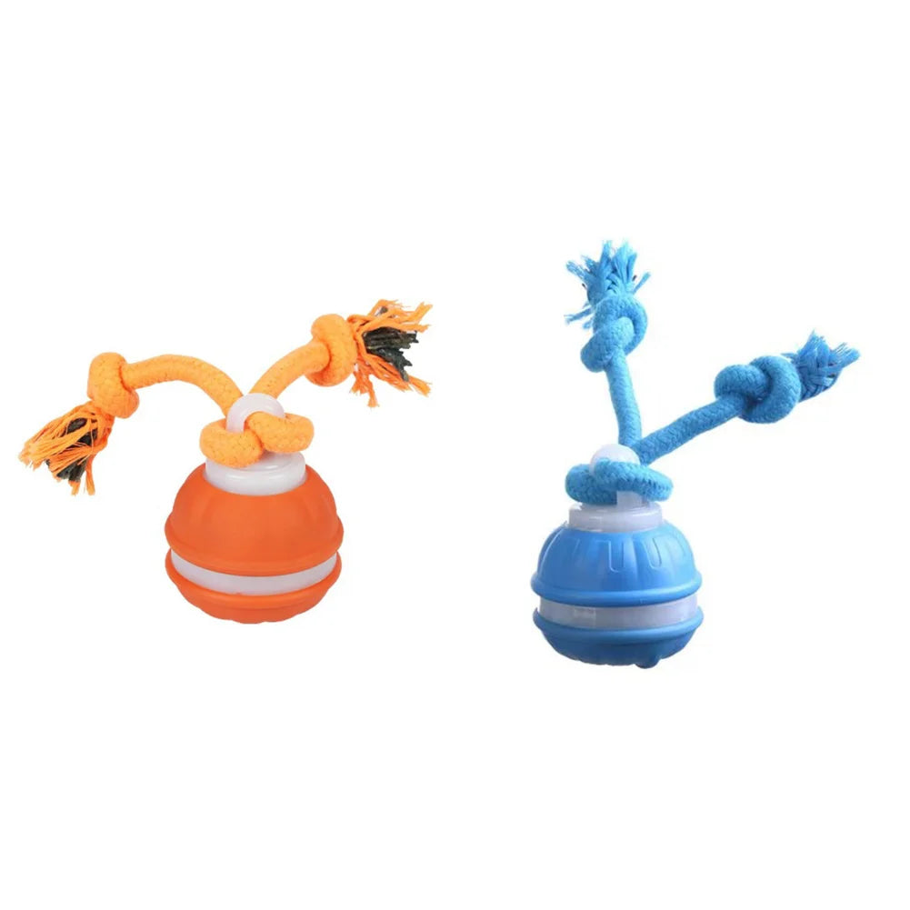 Interactive Motion Rolling Ball for Dogs