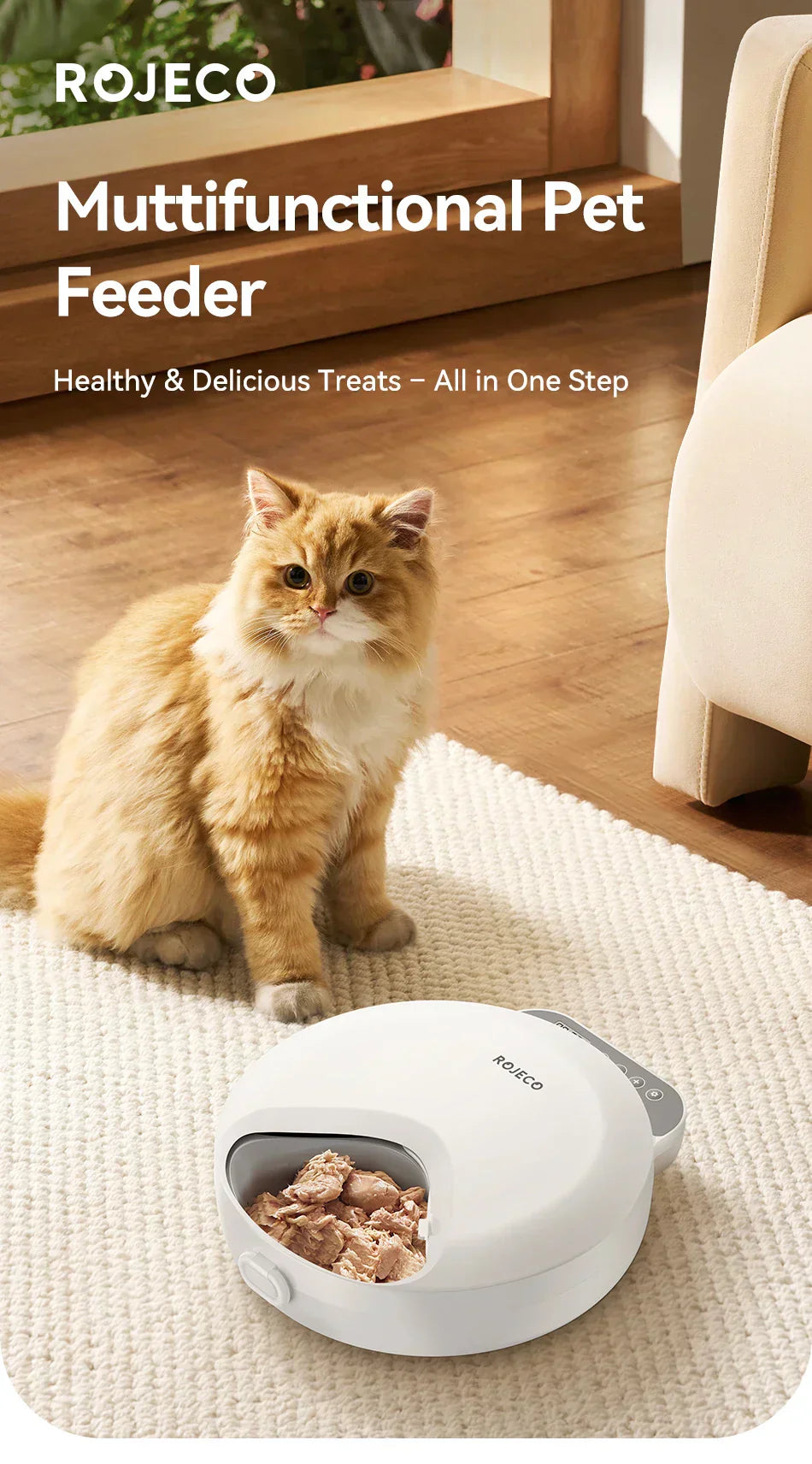 Food Dispenser For Cats