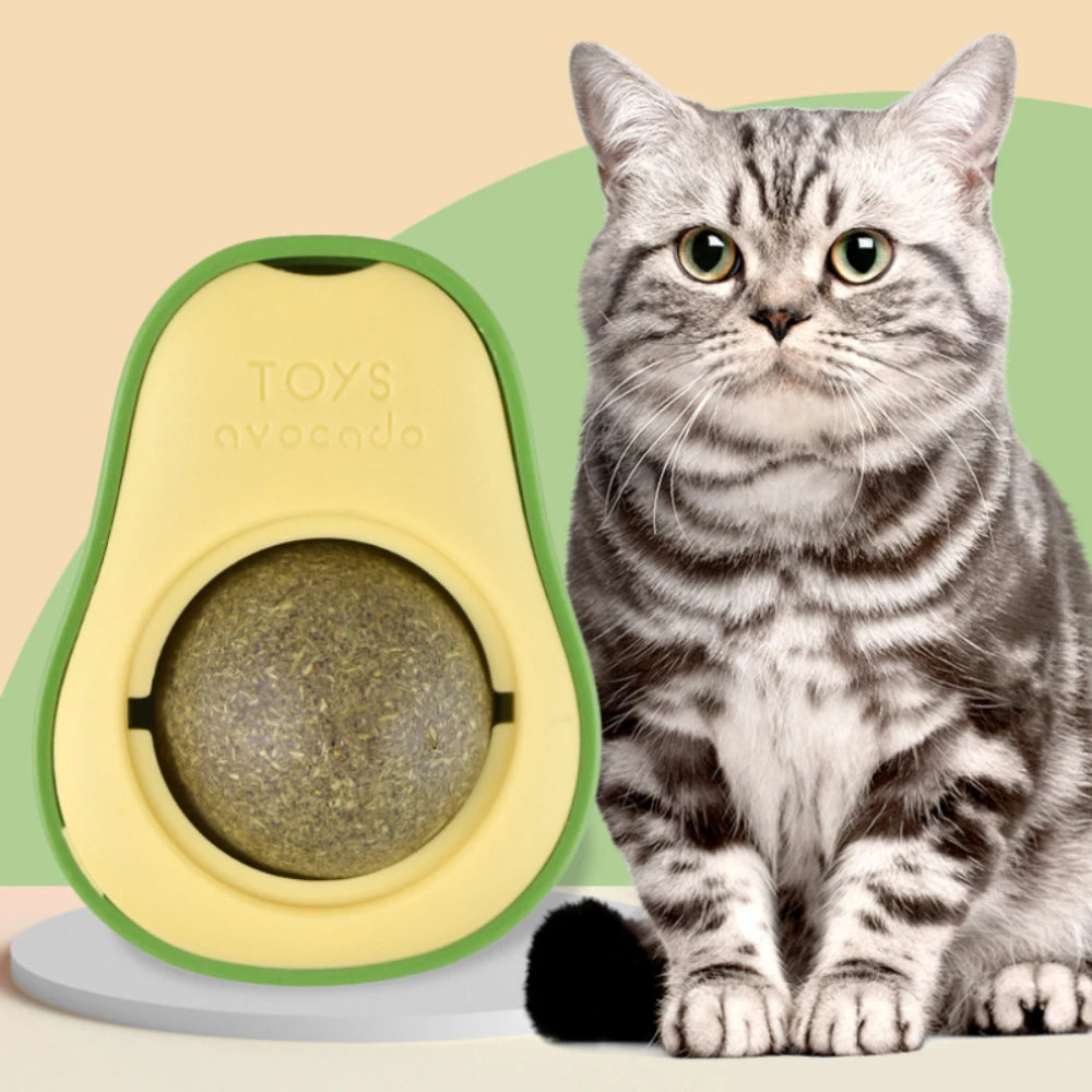 Catnip Wall Ball – Rotatable Stick-On Toy