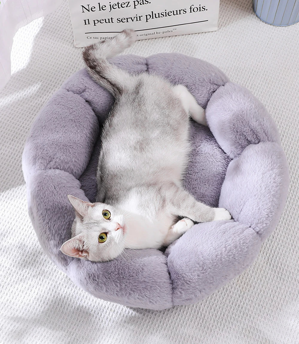 CozyBloom Pet Bed for Cats and Small Dogs