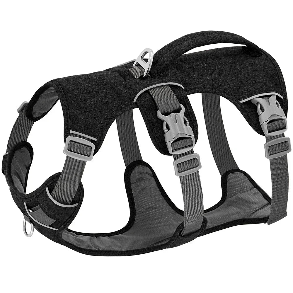 Bulldog Nylon Dog Harness