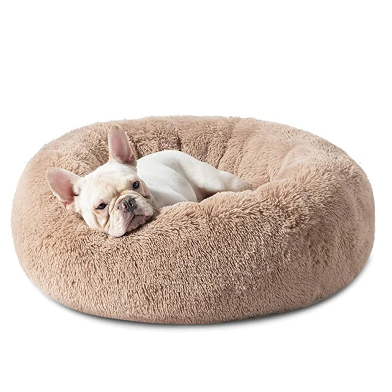 CozyPaws Super Soft Cat & Dog Bed