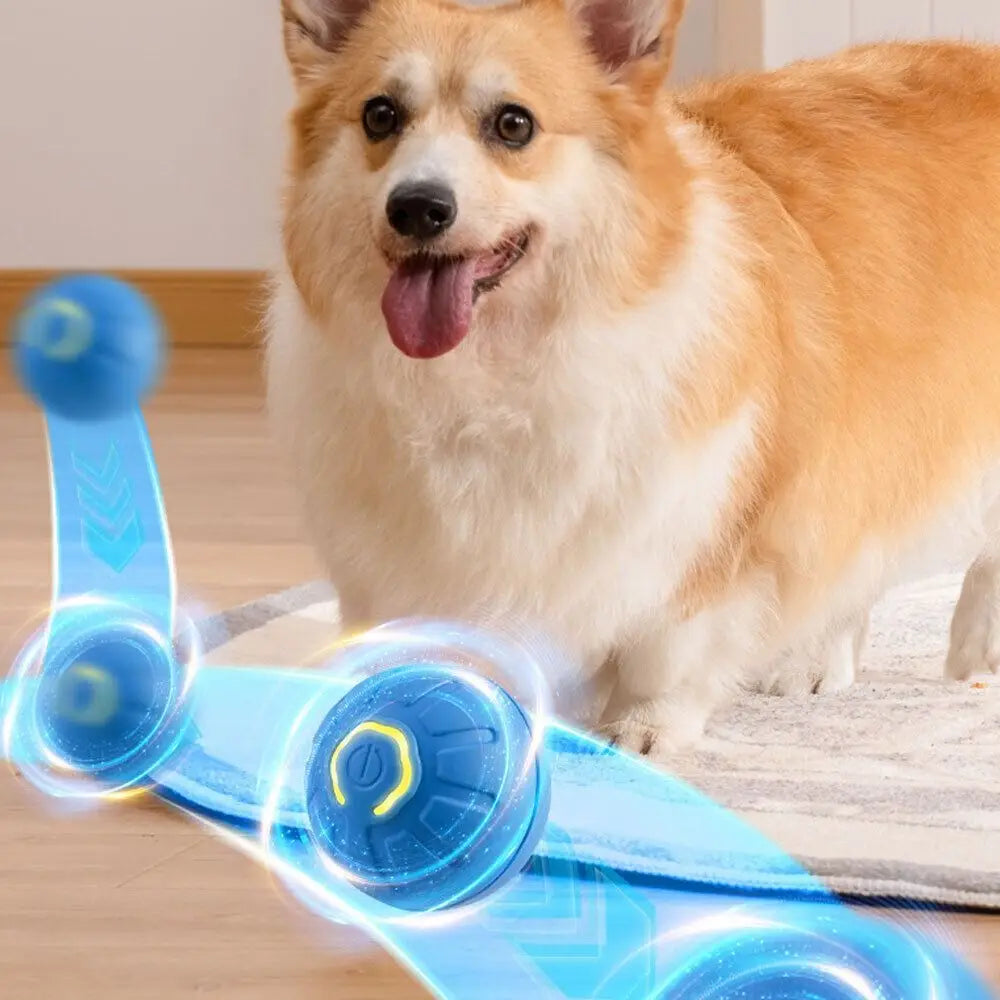 BouncyPaws Automatic Dog Ball