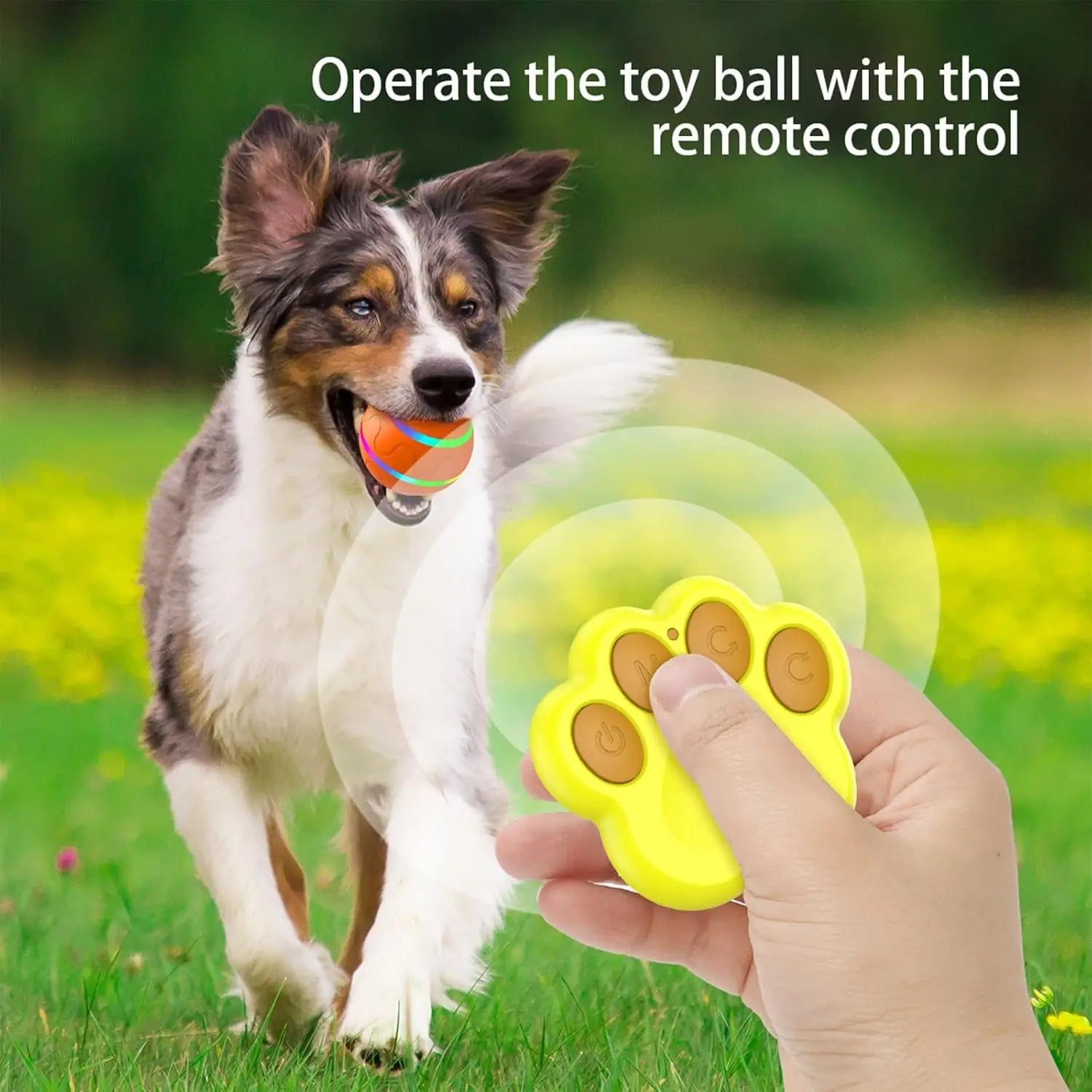 WigglePaws Shaky Ball Toy for Dogs
