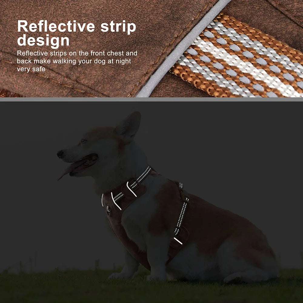 Dog Harness