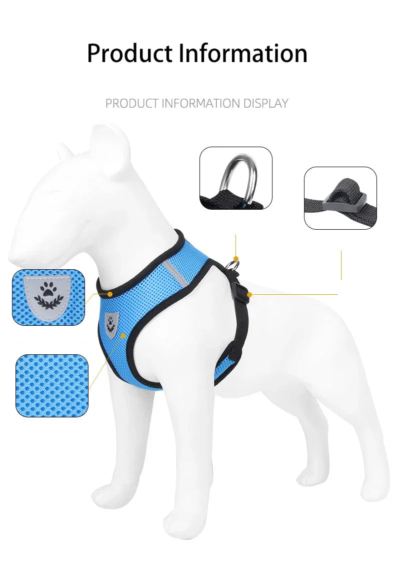 Dog Harnesses
