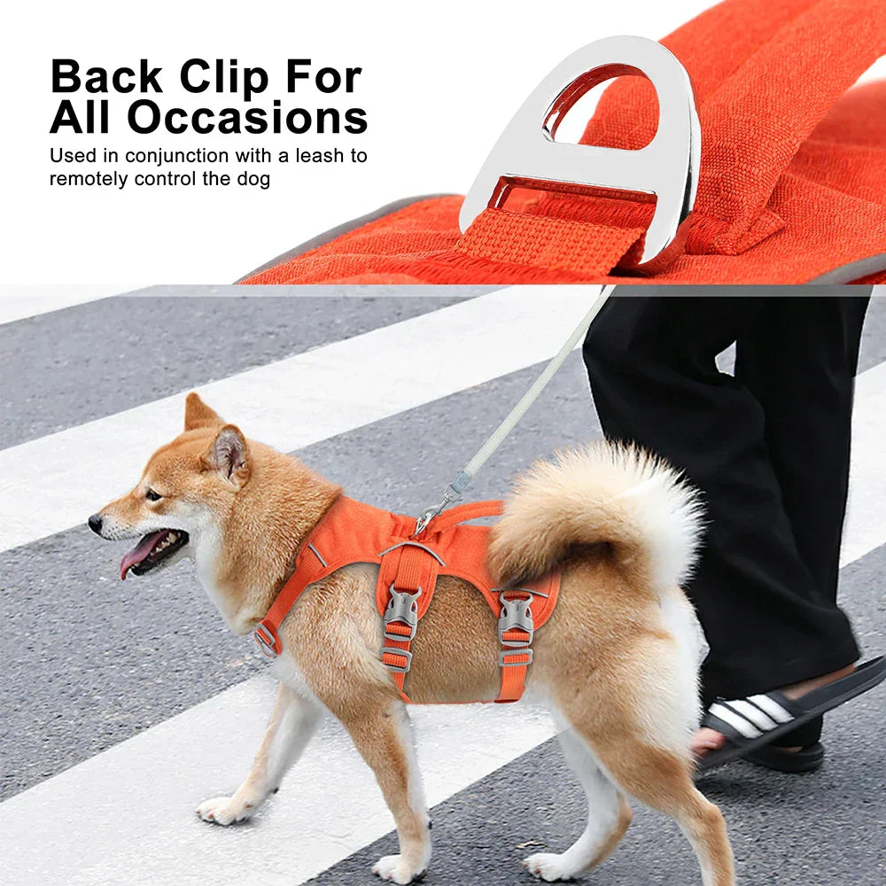 Bulldog Nylon Dog Harness