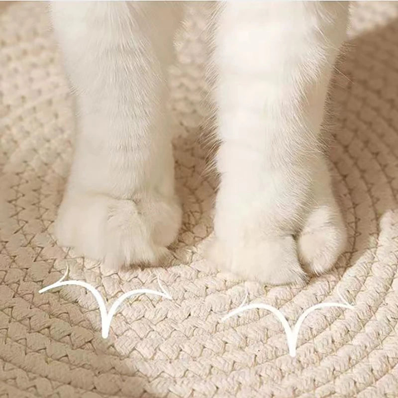 Madden Handwoven Rattan Cat Bed Basket