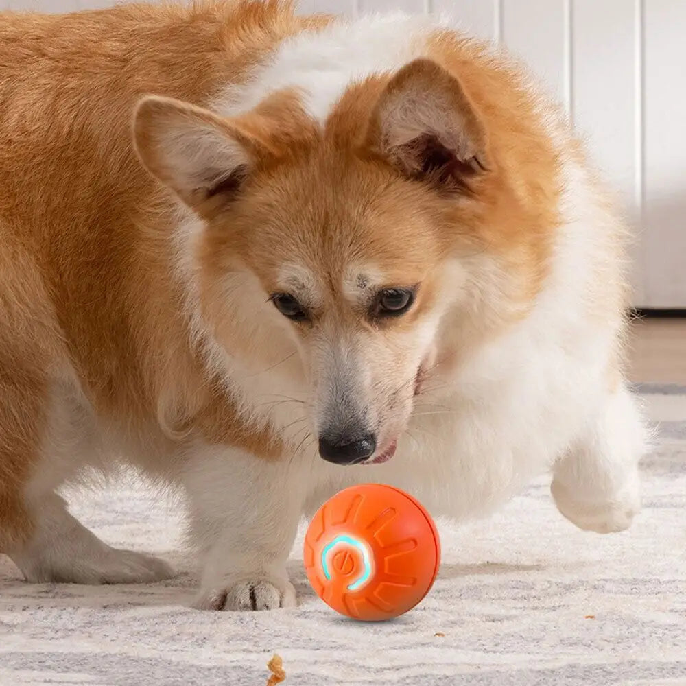 BouncyPaws Automatic Dog Ball