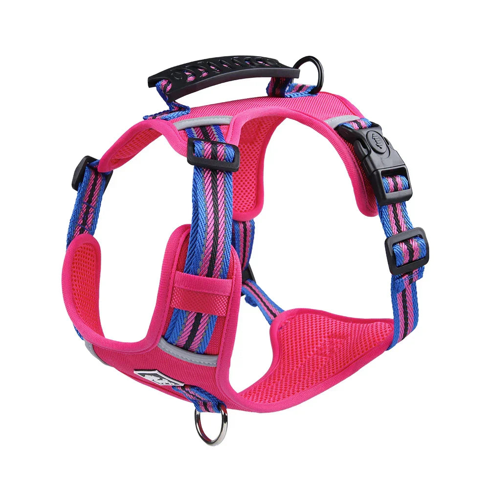Travel Dog Harness & Lead