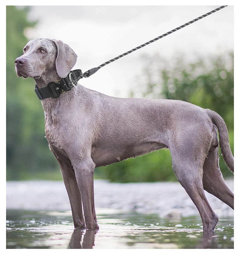 Tactical Dog Collar with Metal Buckle