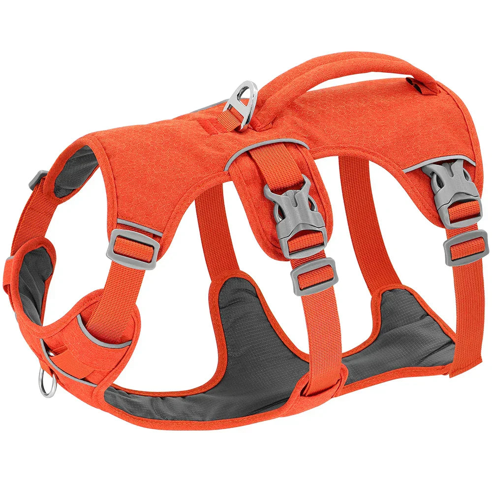 Bulldog Nylon Dog Harness